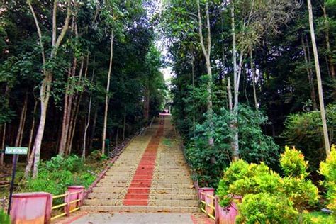  Taman Hutan Raya Gunung Merapi - En äventyrlig vandring genom vulkaniska landskap och mystisk fauna